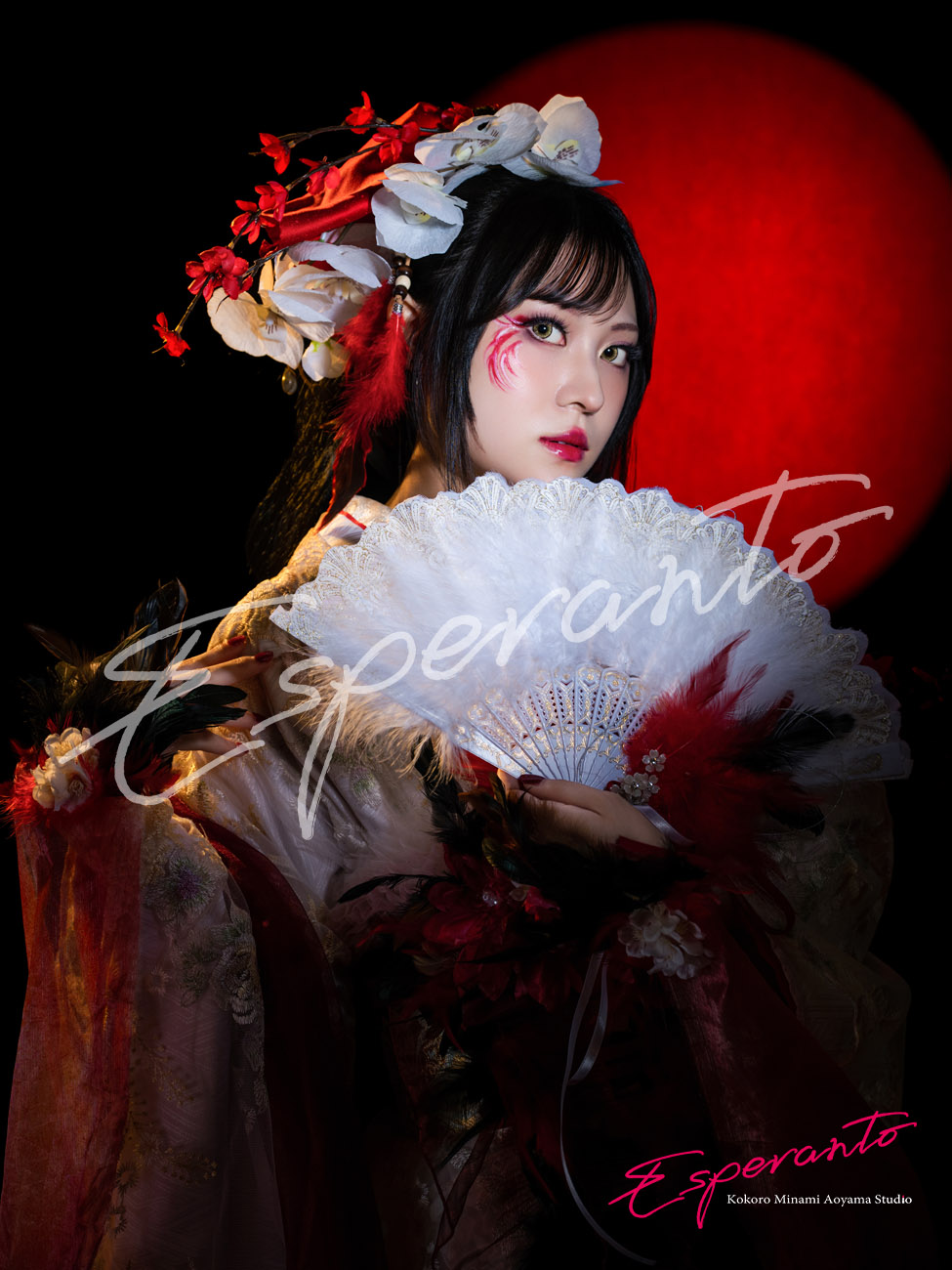 Crane Reverie -鶴ノ夢-のアッシュブラウンと黒を使ったメイクと羽根のアート